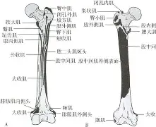 包含膝m(铚0勸轍富?磶+???馲?埰%?(曫虁醺V$泿扽鑏誄妰??♂に訮b?!?哎b?)噪6?杚虖?靽C⒗€楫ZDK$V|榙釡9A乃?[?飦F沶胺尟詶<q碊蝗Q諼愰(?@踰屼甮?馻瓏x.?x驃嫵埆R筜陕Db,,?澝b?z9?幻棑2H槆}!{絰的词条